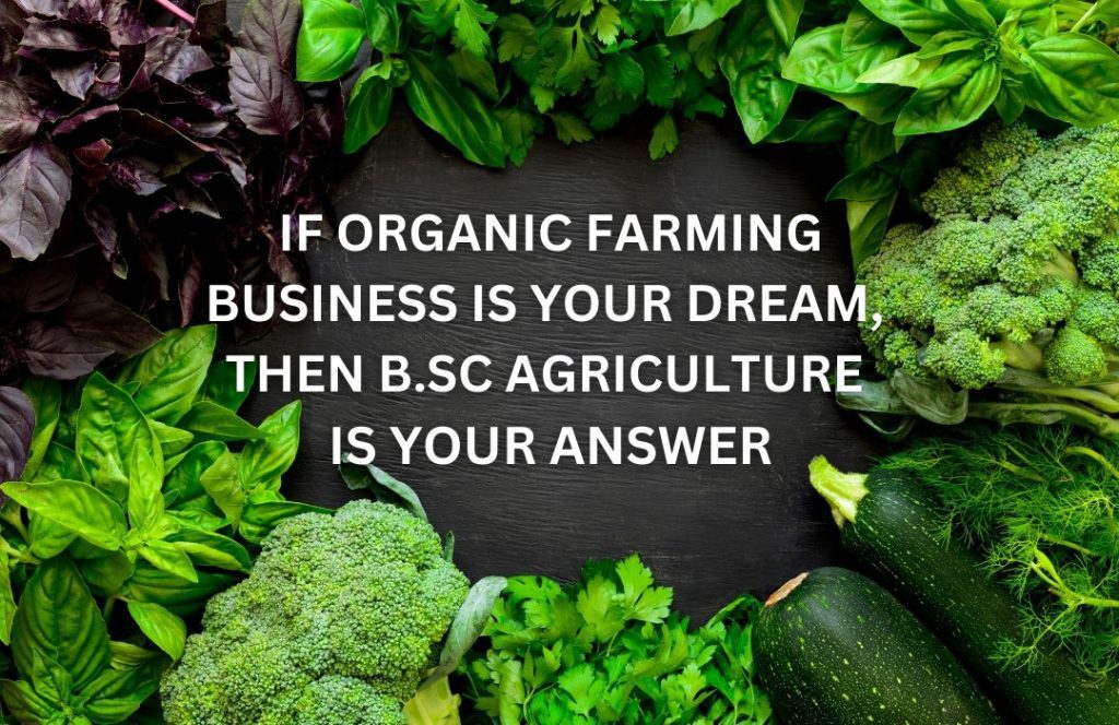 LAUNCH YOUR ORGANIC FARMING BUSINESS BY STUDYING B.SC AGRICULTURE