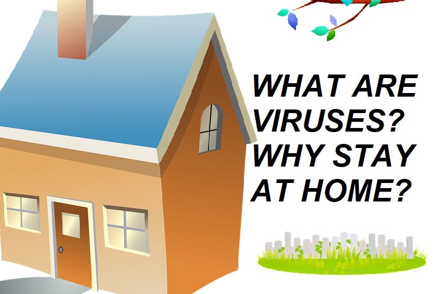 WHAT ARE VIRUSES? AND WHY STAY HOME?