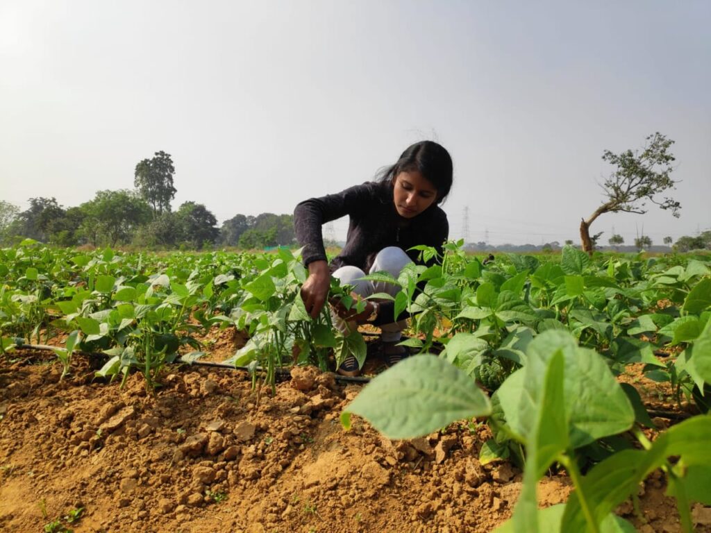 इएलपी : क्रिटिकल थिंकिंग और मैनेजेरियल स्किल्स का विकास