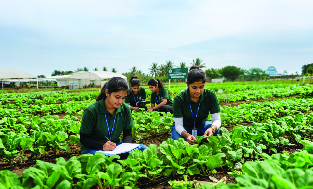 Agriculture-Land